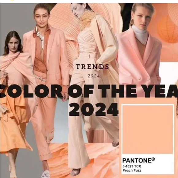 CHLOE SMALL PARATAY BAG IN ANEMONE PINK - Picture 12 of 12